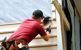 Shed Removal in Jacinto City, TX